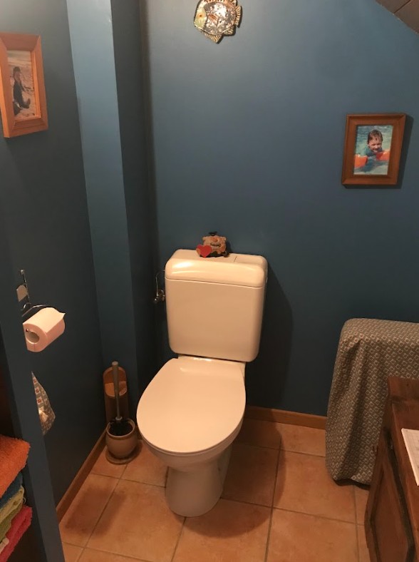 Before image